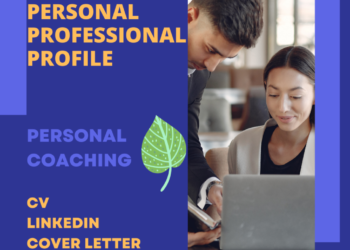 Building Personal Professional Profile Personal Coaching (£450)